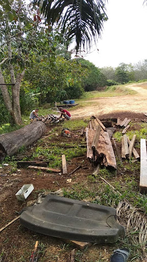 Buloh Kasap Buloh Kasap