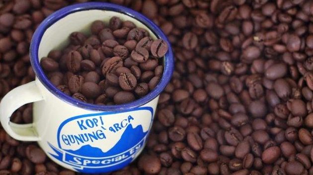 kopi arca 1 kopi arca