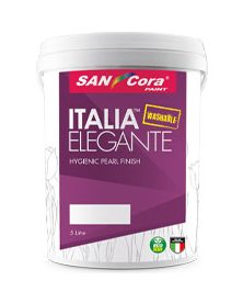 SanCora Paint 1 sancora paint
